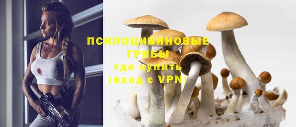 ГАЛЛЮЦИНОГЕННЫЕ ГРИБЫ Абдулино