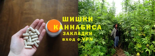 ГАЛЛЮЦИНОГЕННЫЕ ГРИБЫ Абдулино