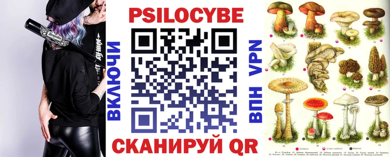 Псилоцибиновые грибы Psilocybe  Донецк 