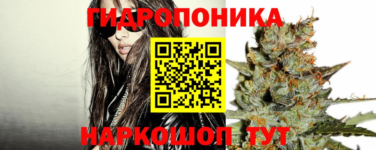 МАРИХУАНА план  Бошки марихуана конопля  Донецк  Вход с VPN 